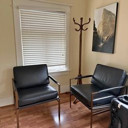 Leather Accent Chairs (PRICE CUT $500)