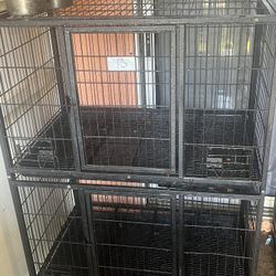 Dog Kennel