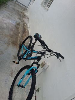 Mountain bike