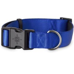  Dog Collar, XLarge/XX-Large