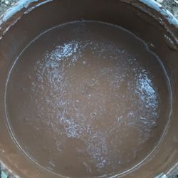 Have A Eggshell Paint For sale Brown 40$$$