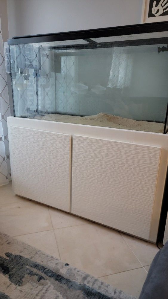 80 Gallon Salt Water Fish Tank