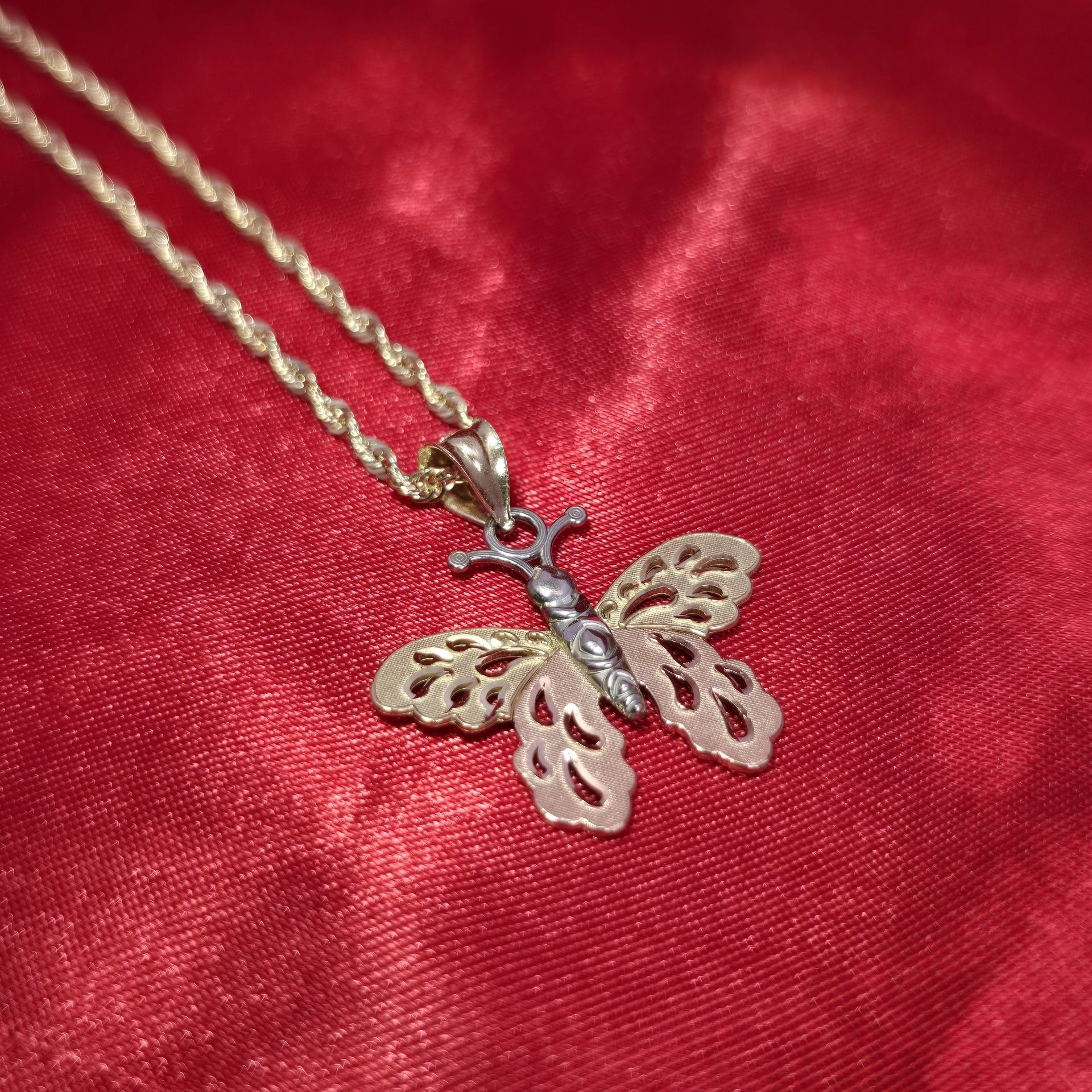 10k Gold Roop Chain & butterfly Pendant
