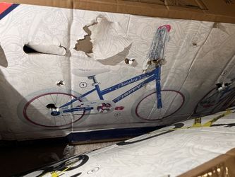 Girls Bike New 70$