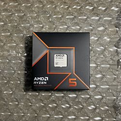 AMD Ryzen 5 9600X