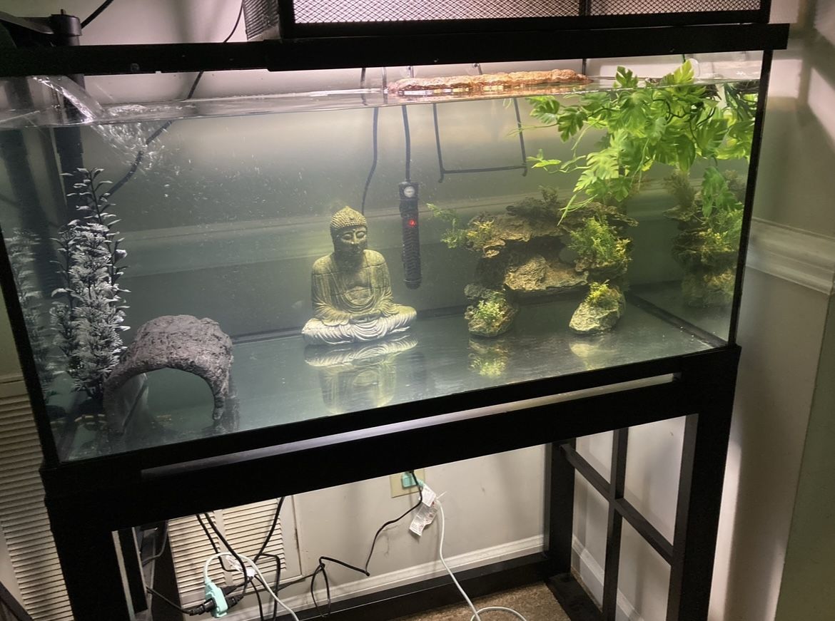40gallon Fish Tank With Stand And Top Included