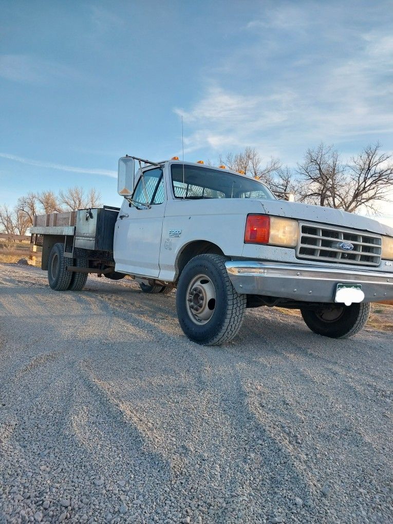 1989 Ford F-350