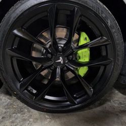 Tesla Model 3 Wheels