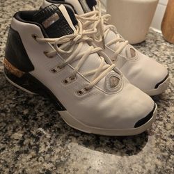 Air JORDAN 17 Retro Copper 