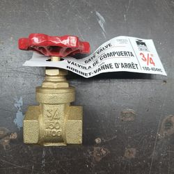 3/4 in Brass gate valve