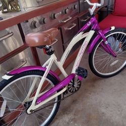 La Jolla Aluminum Bike Tires Size 24 Lighweight 