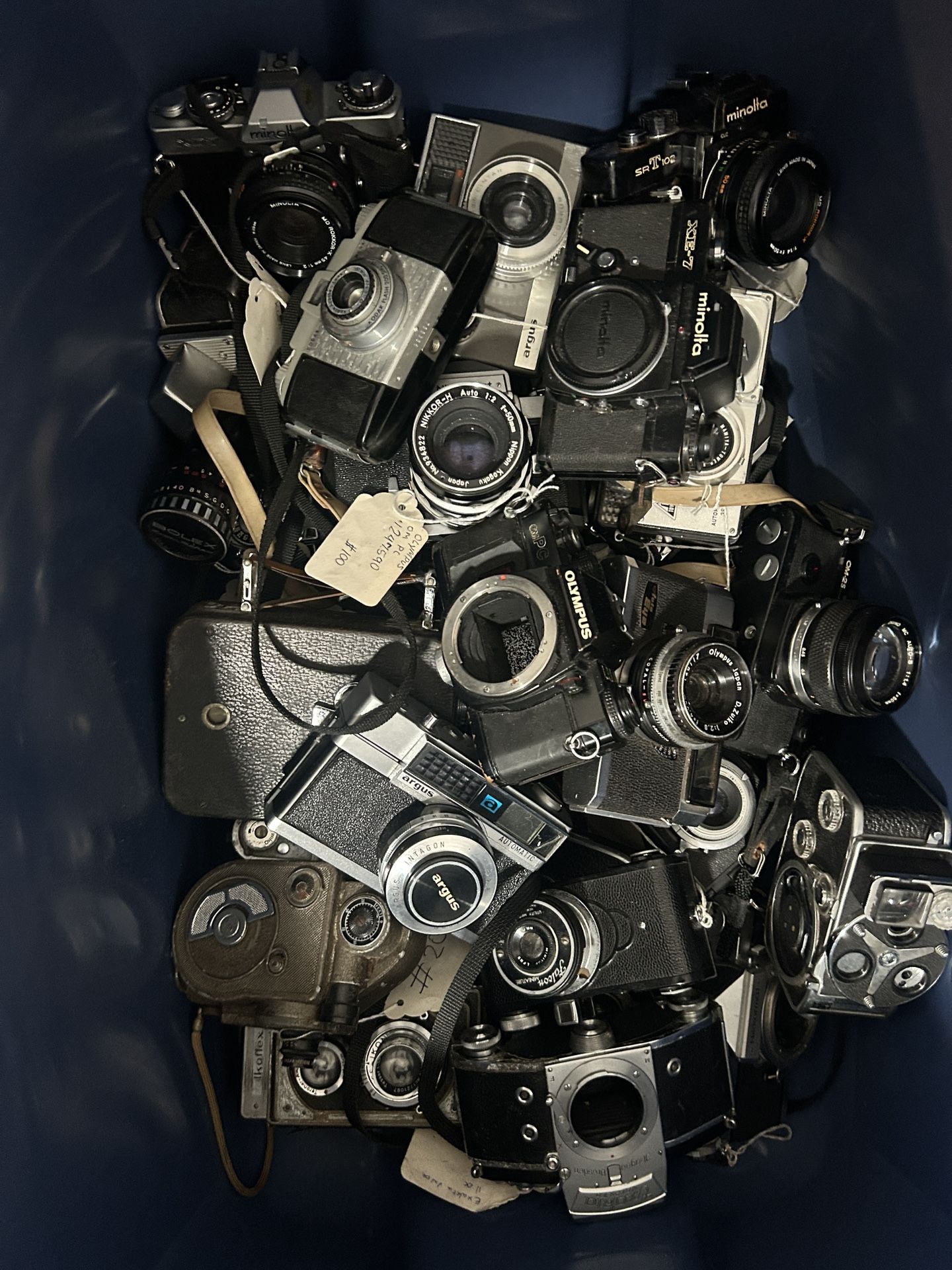 Pharmaceutical Agent Camera Gear Lot - Nikon, Nikkor, Minolta & More | 50+ Pieces