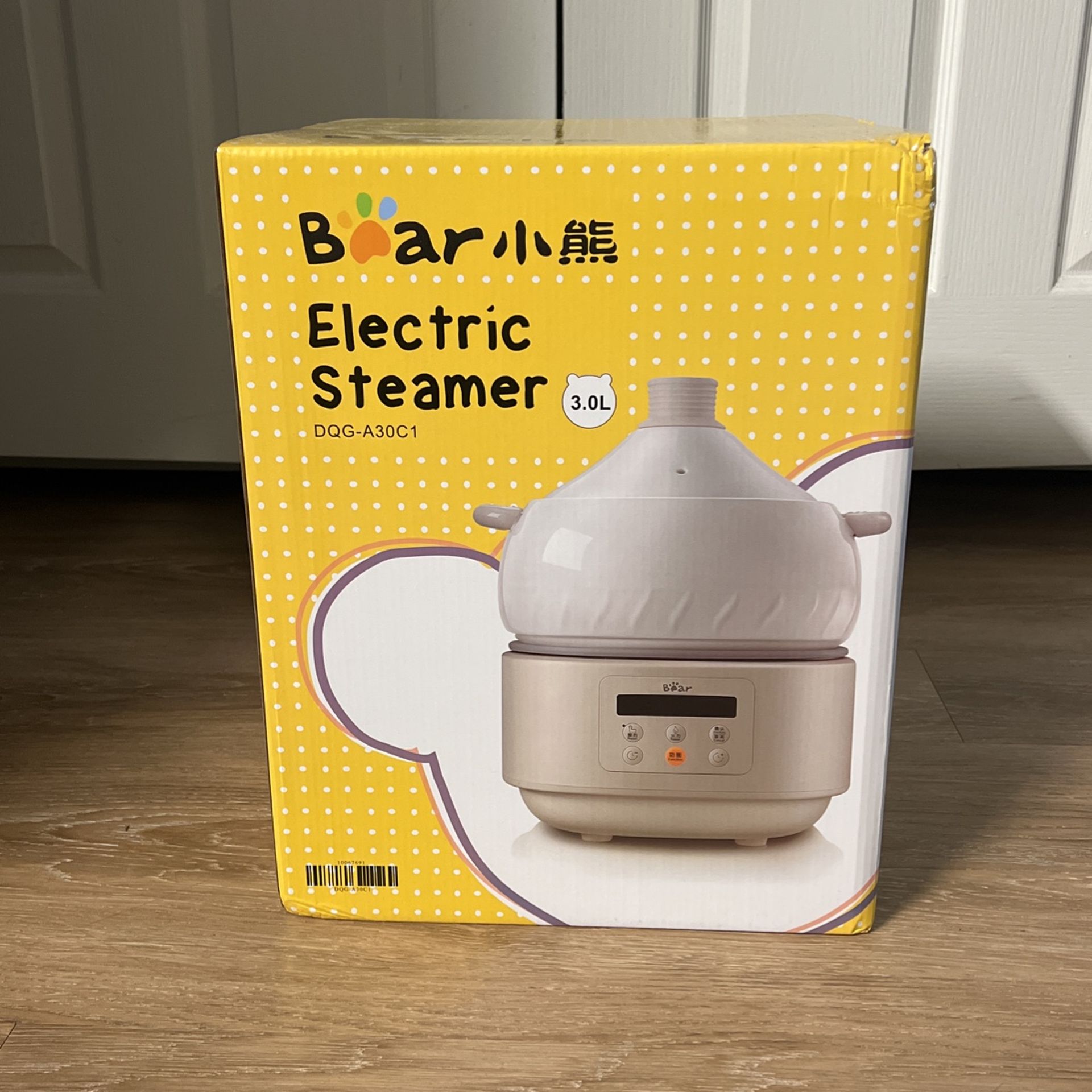 Electric steamer