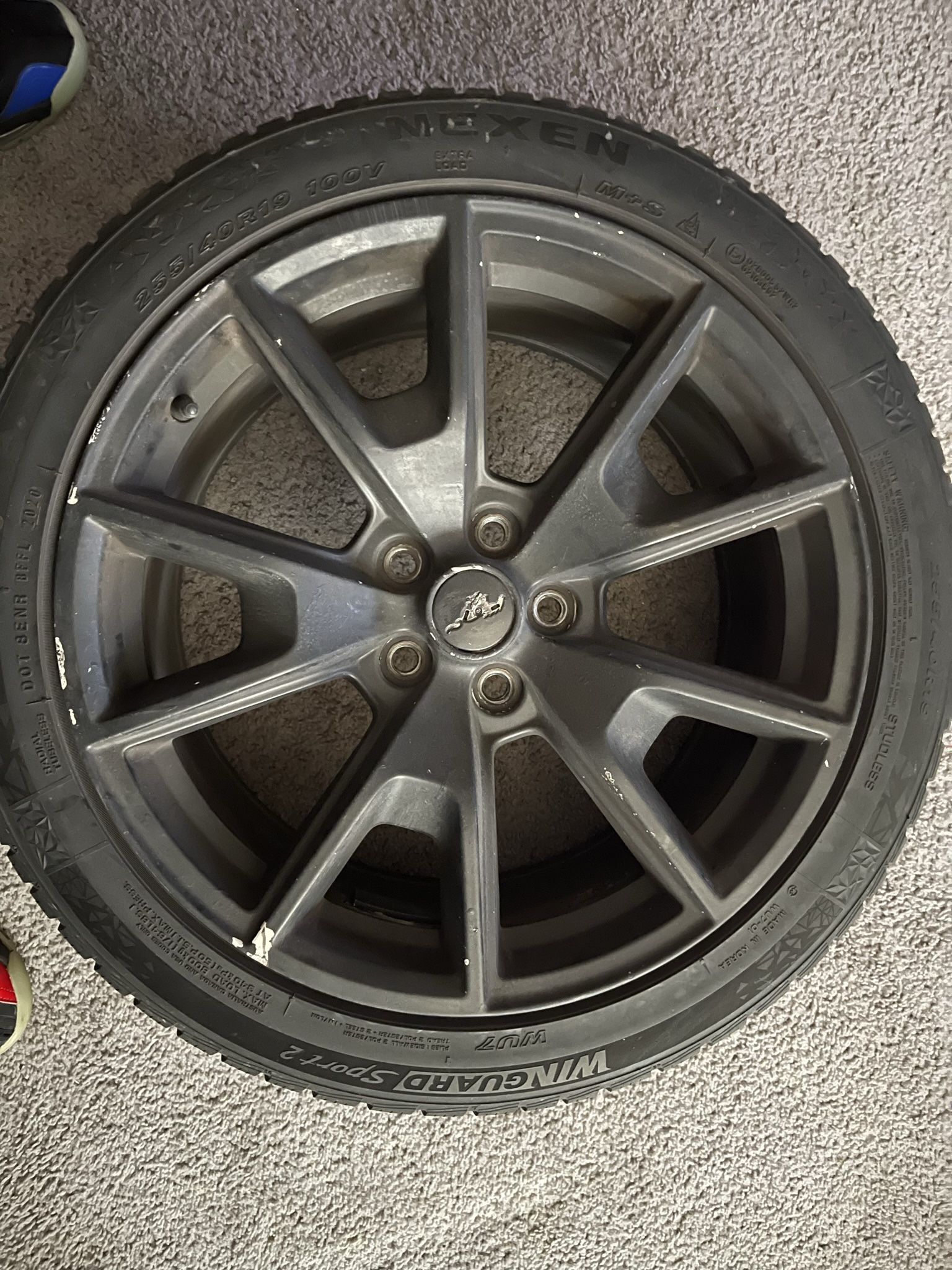 Mustang 50th Anniversary Wheels