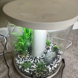 Fish Tank For Sale 