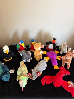 Ty Babies Collection