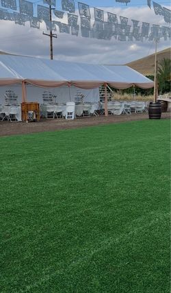 Turf artificial grass