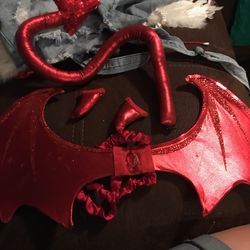 Women’s Halloween costume