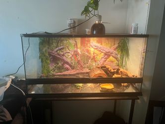 40 gallon reptile tank