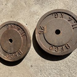25 lbs weight plates 