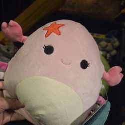 Brand New Squishmallow 