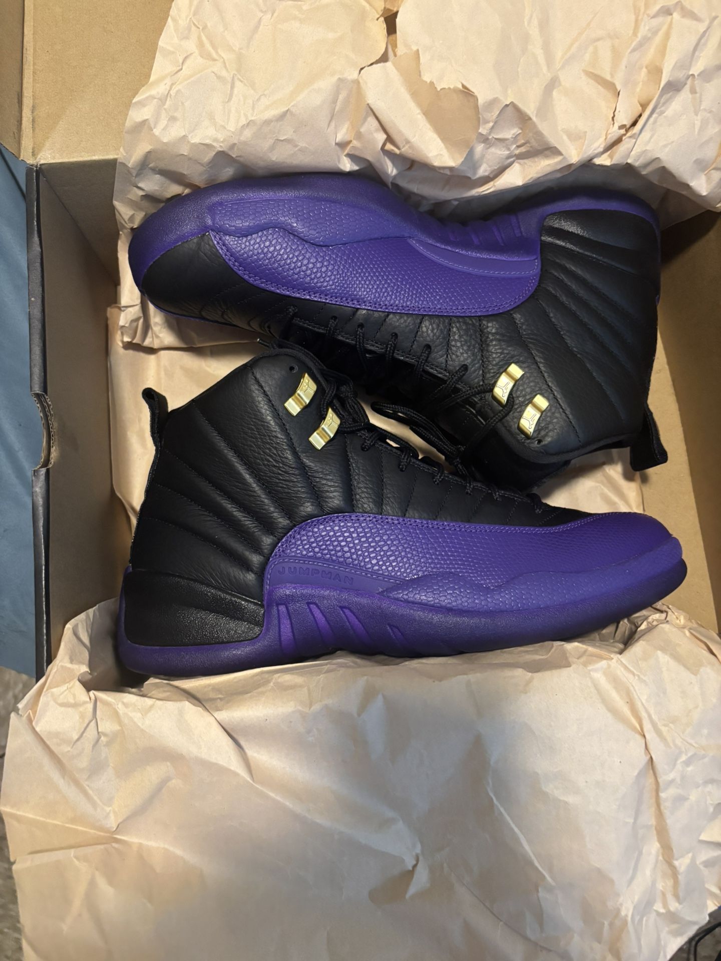 Jordan 12