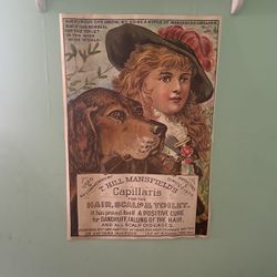 Original 1896 Capillaries  Movie Advertisement 