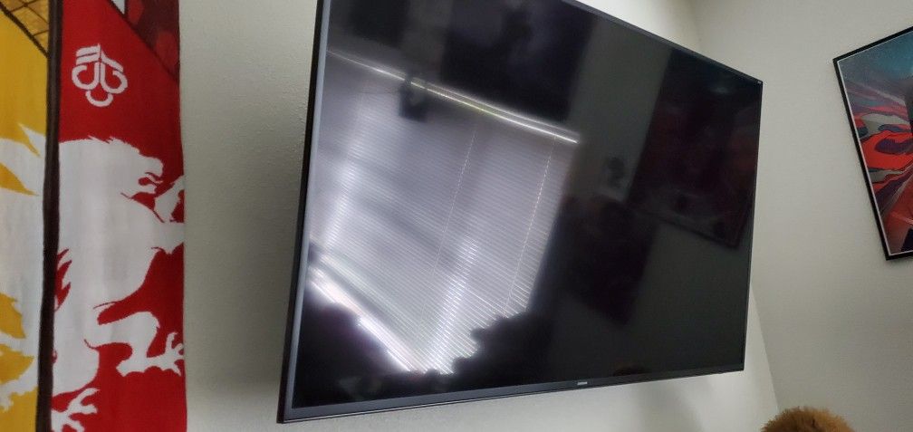 65 Inch Samsung