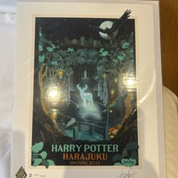 Limited Edition Harry Potter Art