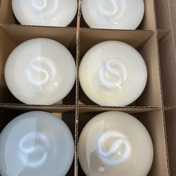 Recessed Fluorescent BR30 Light Bulbs