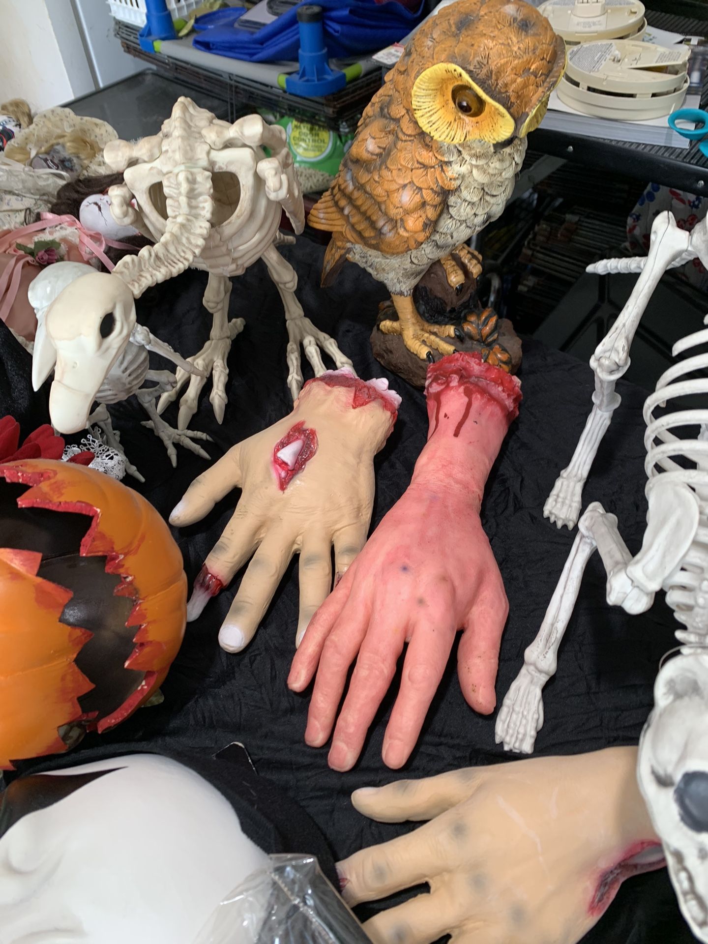 Halloween Stuff Costumes Decor