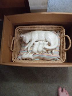 Mama And Baby Kittens