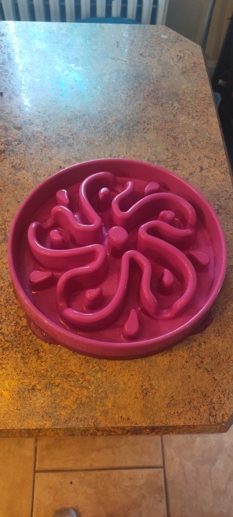 Pink Slow Feeder