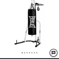 Everlast Punching Bag