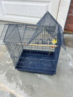 Bird Cage