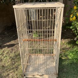 Parrot Cage 