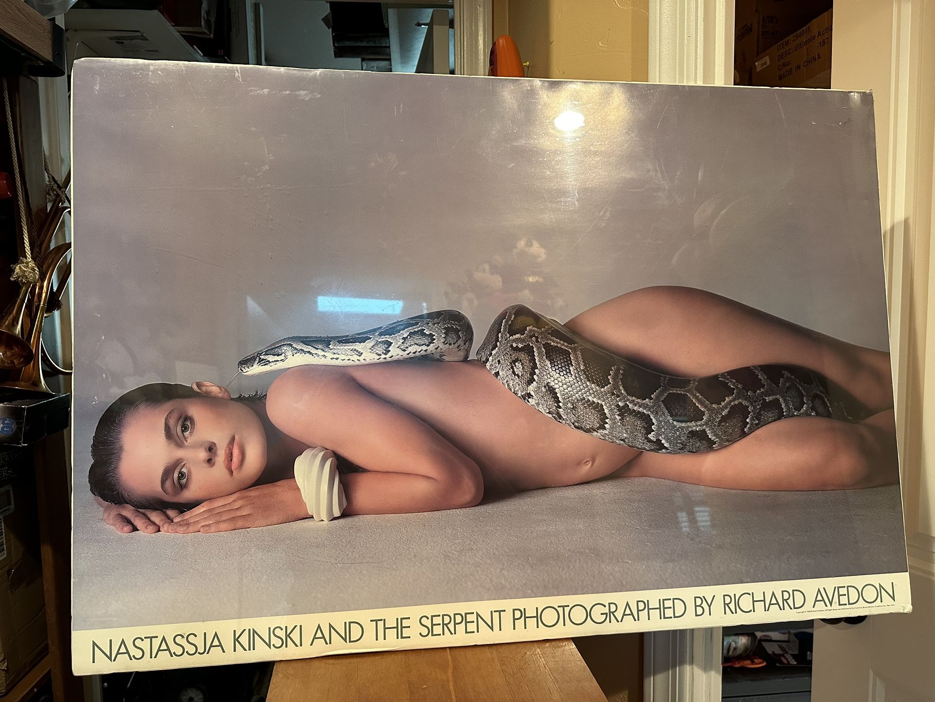 RARE:Natasha Kinski And The Serpent By Richard Avendon 25x37” poster unframed