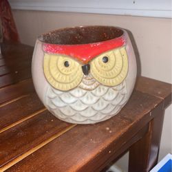 Owl Planter For Plant Or Store Things In Decoration