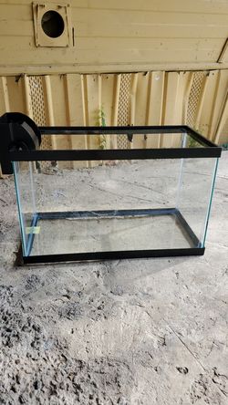 10 gallon water tank for fish with water filter
