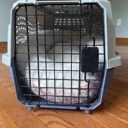 Small Dog Travel Crate