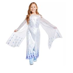 Frozen 2 Elsa Costume Size 5/6 