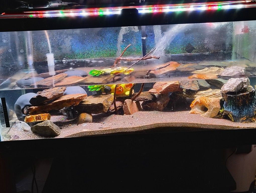 40 Gallon With Stand