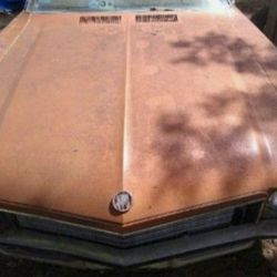 HOOD SKYLARK BUICK 1972 