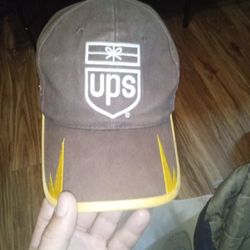 UPS 88 Dale Earnhardt NASCAR hat