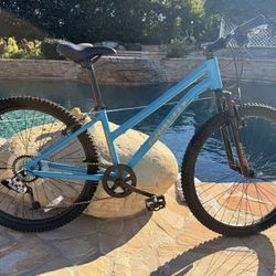 Ladies 14 Inch Gravity Mountain Bike