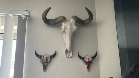 Wildlife Decor