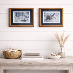 Jody Bergsma Orca Art Prints - Framed Pair