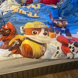Paw Patrol Shower Curtain