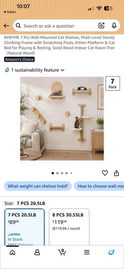 Cat shelves