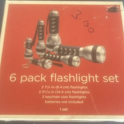 6 pack of flashlights